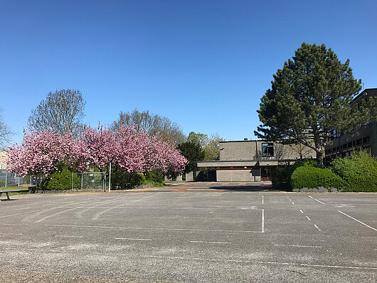 Foto vom Schulhof der Christian Zeller Schule